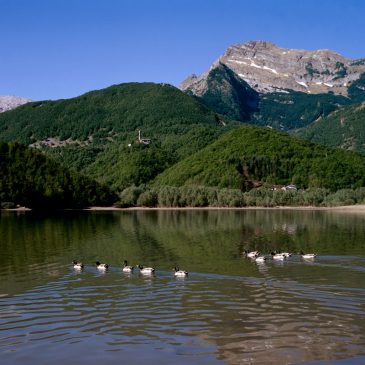 farro_territori