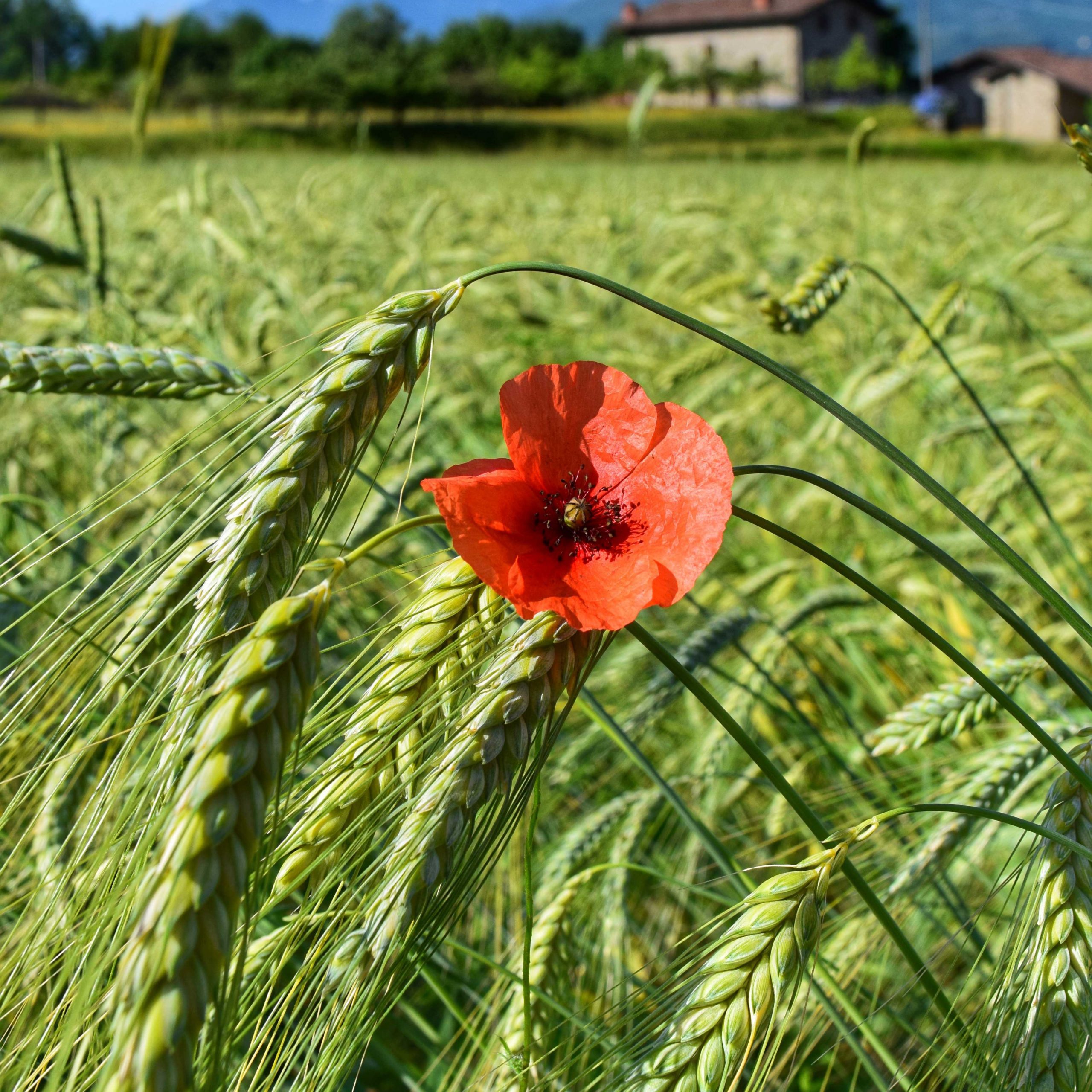 Garfagnana - Vivere la montagna in Garfagnana