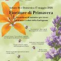 fioriture di primavera