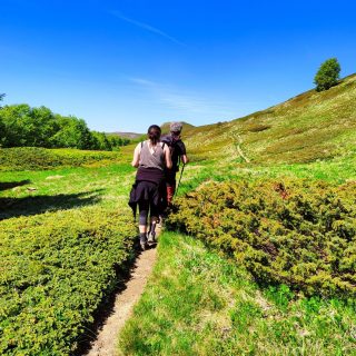 foto passeggiate (2)