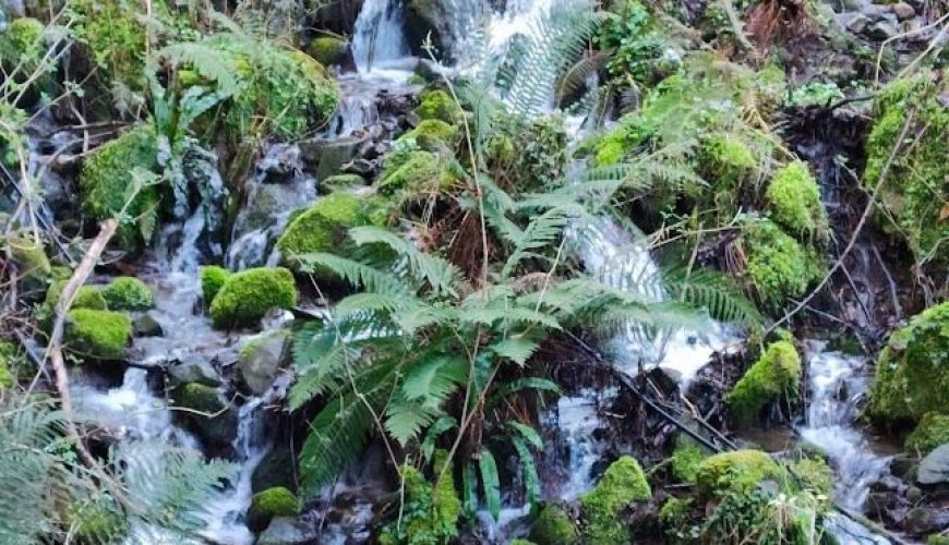 Turismo in Garfagnana - Vivere la montagna in Toscana