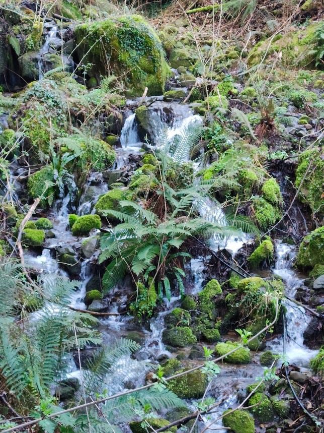 Garfagnana - Vivere la montagna in Garfagnana