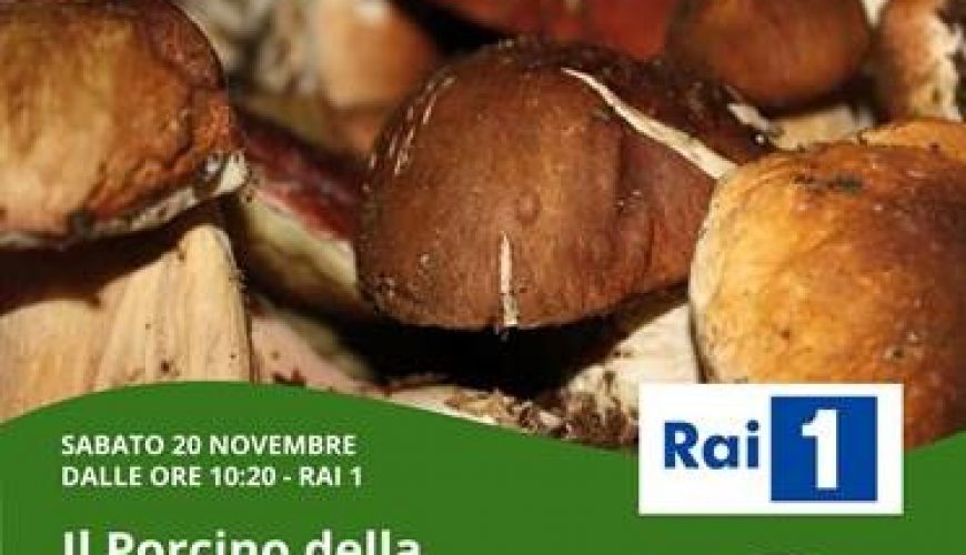 Garfagnana - Vivere la montagna in Garfagnana