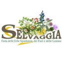 logo selvaggia per news